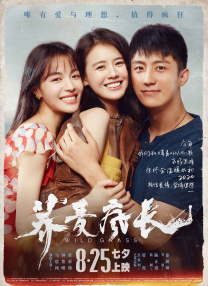综合99